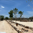  Grundstück zu verkaufen in Muxupip, Yucatan, Muxupip