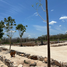  Grundstück zu verkaufen in Muxupip, Yucatan, Muxupip