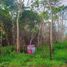  Land for sale in Centro, Tabasco, Centro, Tabasco