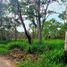  Land for sale in Centro, Tabasco, Centro, Tabasco