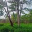  Land for sale in Centro, Tabasco, Centro, Tabasco