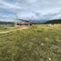  Land for sale in Agrado, Huila, Agrado