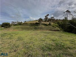  Land for sale in El Carmen De Viboral, Antioquia, El Carmen De Viboral