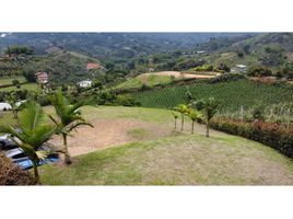  Terreno (Parcela) en venta en Penol, Antioquia, Penol