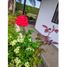 Villa 6 chambre à vendre à Pereira, Risaralda, Pereira
