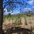 Terrain à vendre à Patzcuaro, Michoacan, Patzcuaro