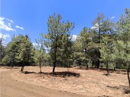  Land for sale in Patzcuaro, Michoacan, Patzcuaro, Michoacan