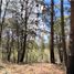  Land for sale in Patzcuaro, Michoacan, Patzcuaro, Michoacan