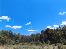  Land for sale in Patzcuaro, Michoacan, Patzcuaro, Michoacan