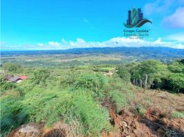  Terrain for sale in Jungla de Panama Wildlife Refuge, Palmira, Alto Boquete