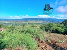  Grundstück zu verkaufen in Boquete, Chiriqui, Alto Boquete