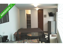 Estudio Departamento en alquiler en Manizales, Caldas, Manizales