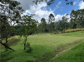  Land for sale in Cocorna, Antioquia, Cocorna