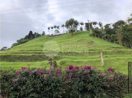  Terreno (Parcela) en venta en Manizales, Caldas, Manizales