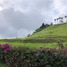  Land for sale in Caldas, Manizales, Caldas