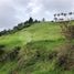  Land for sale in Caldas, Manizales, Caldas