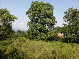  Land for sale in Piedecuesta, Santander, Piedecuesta