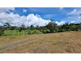  Land for sale in El Carmen De Viboral, Antioquia, El Carmen De Viboral