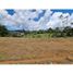  Land for sale in El Carmen De Viboral, Antioquia, El Carmen De Viboral