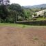  Land for sale in El Carmen De Viboral, Antioquia, El Carmen De Viboral