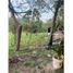  Land for sale in Las Lajas, Chame, Las Lajas