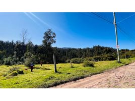  Land for sale in Alangasi, Quito, Alangasi