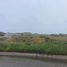  Land for sale in Tomas De Berlanga Santo Tomas, Galapagos, Tomas De Berlanga Santo Tomas, Isabela