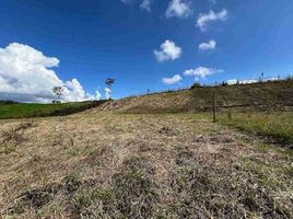  Grundstück zu verkaufen in Santa Rosa De Cabal, Risaralda, Santa Rosa De Cabal, Risaralda