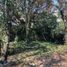  Land for sale in Alvaro Obregon, Mexico City, Alvaro Obregon