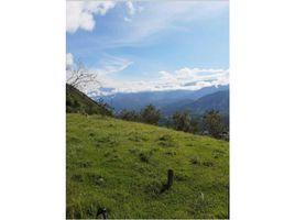  Terrain for sale in San Jeronimo, Antioquia, San Jeronimo