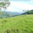  Terrain for sale in San Jeronimo, Antioquia, San Jeronimo