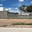  Terreno (Parcela) en venta en Jesus Maria, Aguascalientes, Jesus Maria
