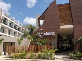 在墨西哥出租的 公寓, Cozumel, Quintana Roo, 墨西哥