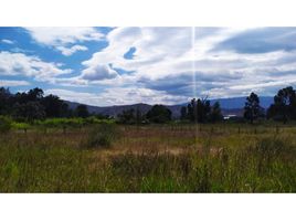  Terrain for sale in Villa De Leyva, Boyaca, Villa De Leyva