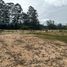  Land for sale in Rionegro, Antioquia, Rionegro