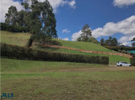  Terreno (Parcela) en venta en La Ceja, Antioquia, La Ceja