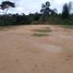  Land for sale in San Roque, Antioquia, San Roque