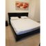 2 Habitación Departamento en alquiler en San Francisco, Panamá, San Francisco, Ciudad de Panamá, Panamá, Panamá