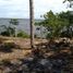 Terrain à vendre à Othon P Blanco, Quintana Roo, Othon P Blanco