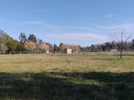  Land for sale in La Plata, Buenos Aires, La Plata