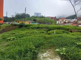  Terreno (Parcela) en venta en Manizales, Caldas, Manizales