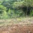  Grundstück zu verkaufen in Santa Rosa De Cabal, Risaralda, Santa Rosa De Cabal