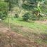  Grundstück zu verkaufen in Santa Rosa De Cabal, Risaralda, Santa Rosa De Cabal