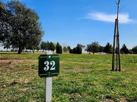  Land for sale in San Vicente, Buenos Aires, San Vicente