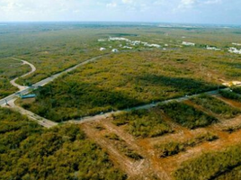  Grundstück zu verkaufen in Conkal, Yucatan, Conkal