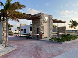  Grundstück zu verkaufen in Progreso, Yucatan, Progreso