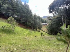  Land for sale in Rionegro, Antioquia, Rionegro