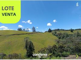  Terreno (Parcela) en venta en El Carmen De Viboral, Antioquia, El Carmen De Viboral