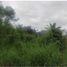  Land for sale in Sucumbios, Dureno, Lago Agrio, Sucumbios