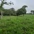  Land for sale in Dureno, Sucumbios, Dureno, Lago Agrio, Sucumbios